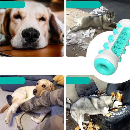 Dog Toothbrush Toy - Interactive Chew Toy for Cleaner Teeth 