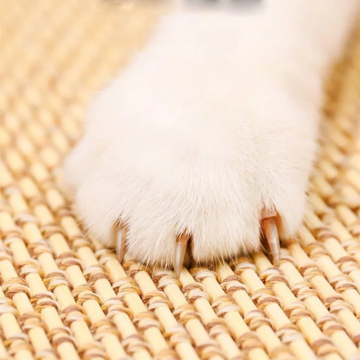 Bamboo Cat Scratching Mat - Eco-Friendly Scratch Pad for Cats