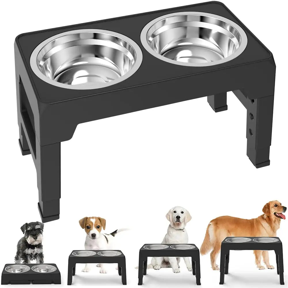 Elevated Dog Feeding Station - Improve Mealtime Comfort 