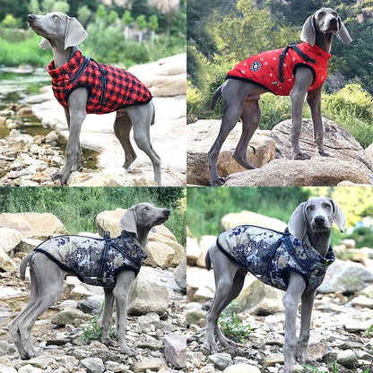 Fashion Vest for Dogs - Stylish and Comfortable Dog Apparel