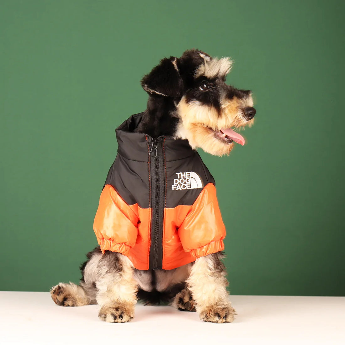 Winter Pet Dog Clothes - Stylish and Warm Outfits for Cold Weather