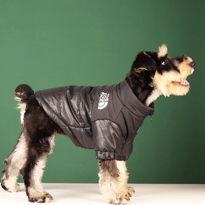 Winter Pet Dog Clothes - Stylish and Warm Outfits for Cold Weather