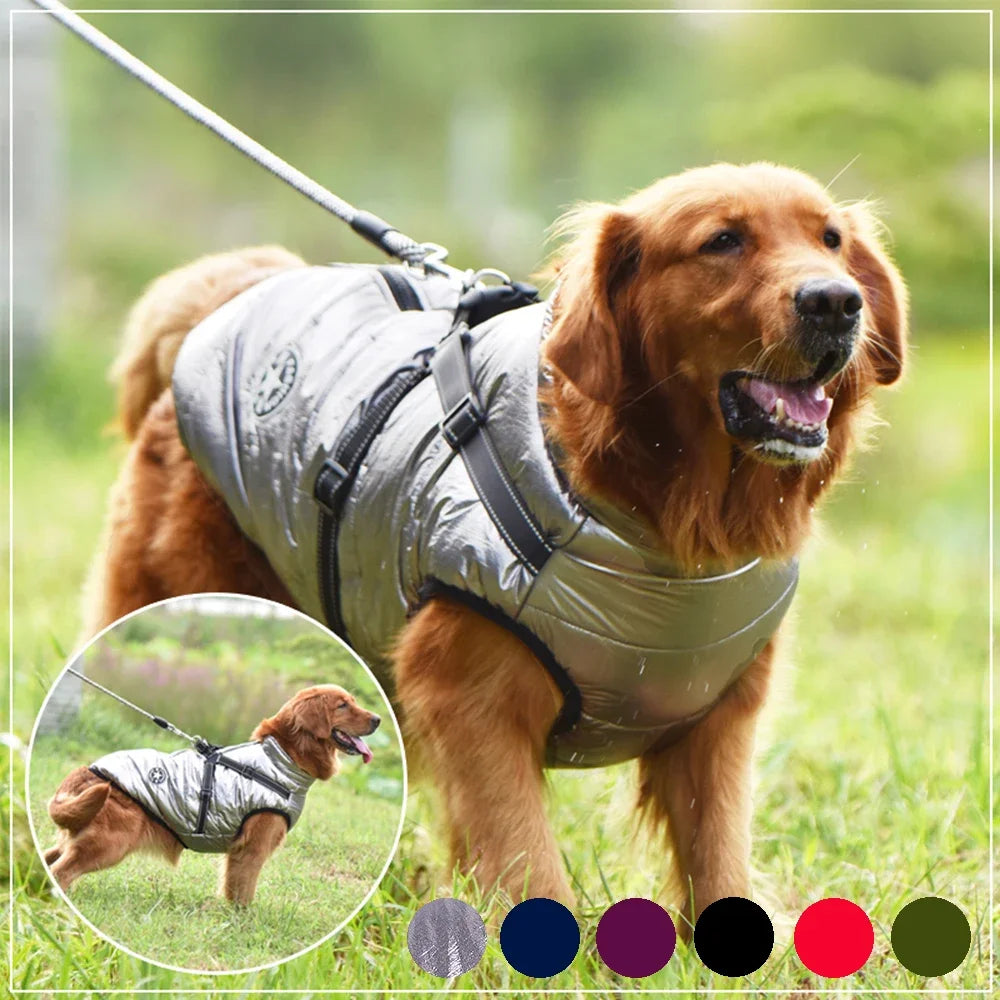 Fashion Vest for Dogs - Stylish and Comfortable Dog Apparel