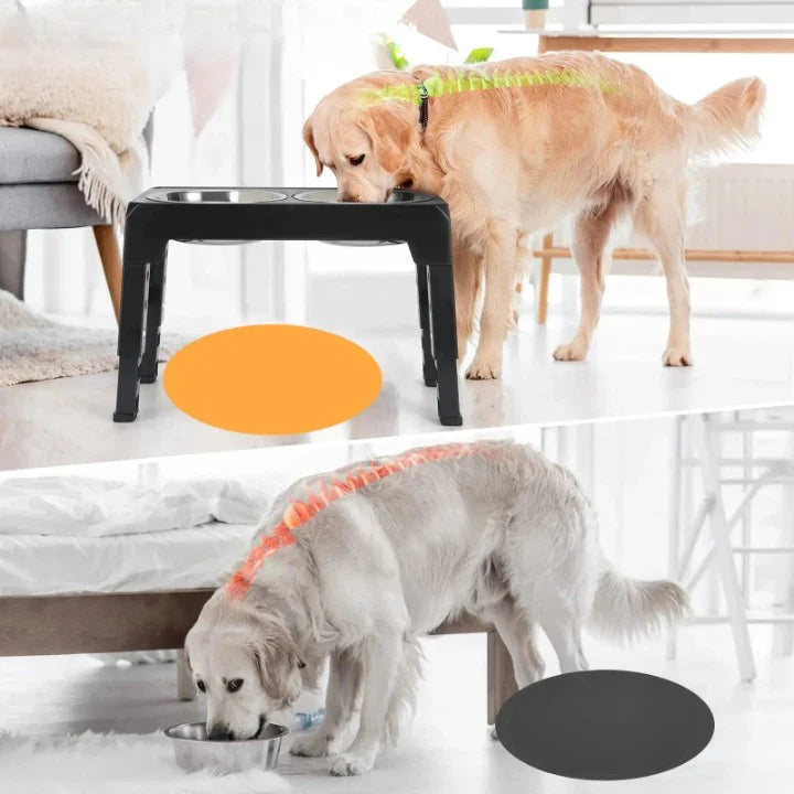 Elevated Dog Feeding Station - Improve Mealtime Comfort 