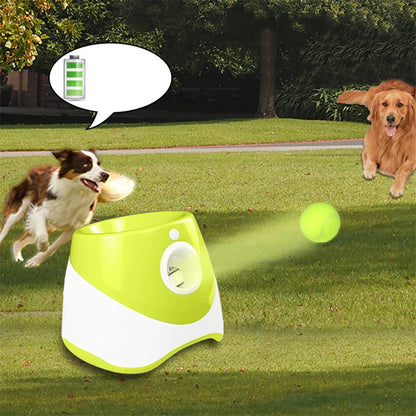 Automatic Tennis Thrower Dog Toy - Interactive Ball Launcher